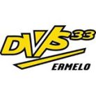 DVS'33